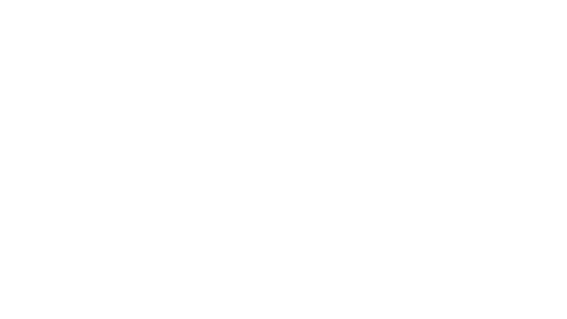 Nissan ANIMALERT logo