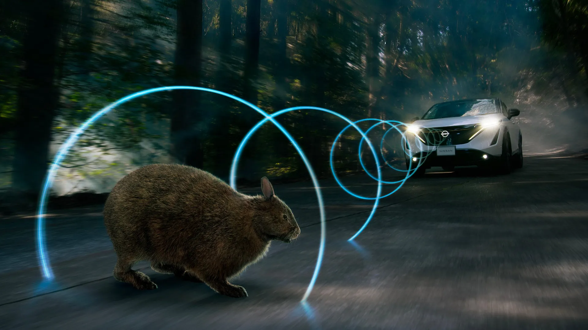Nissan ANIMALERT